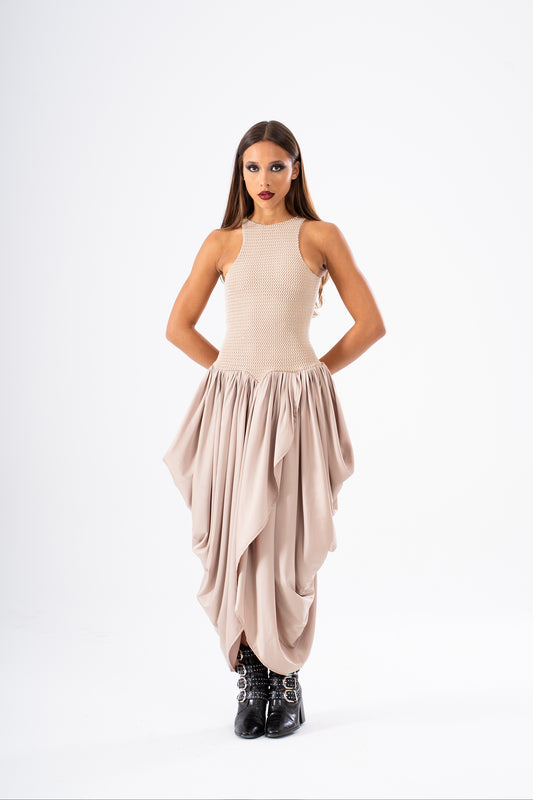 THE SWAN DRESS