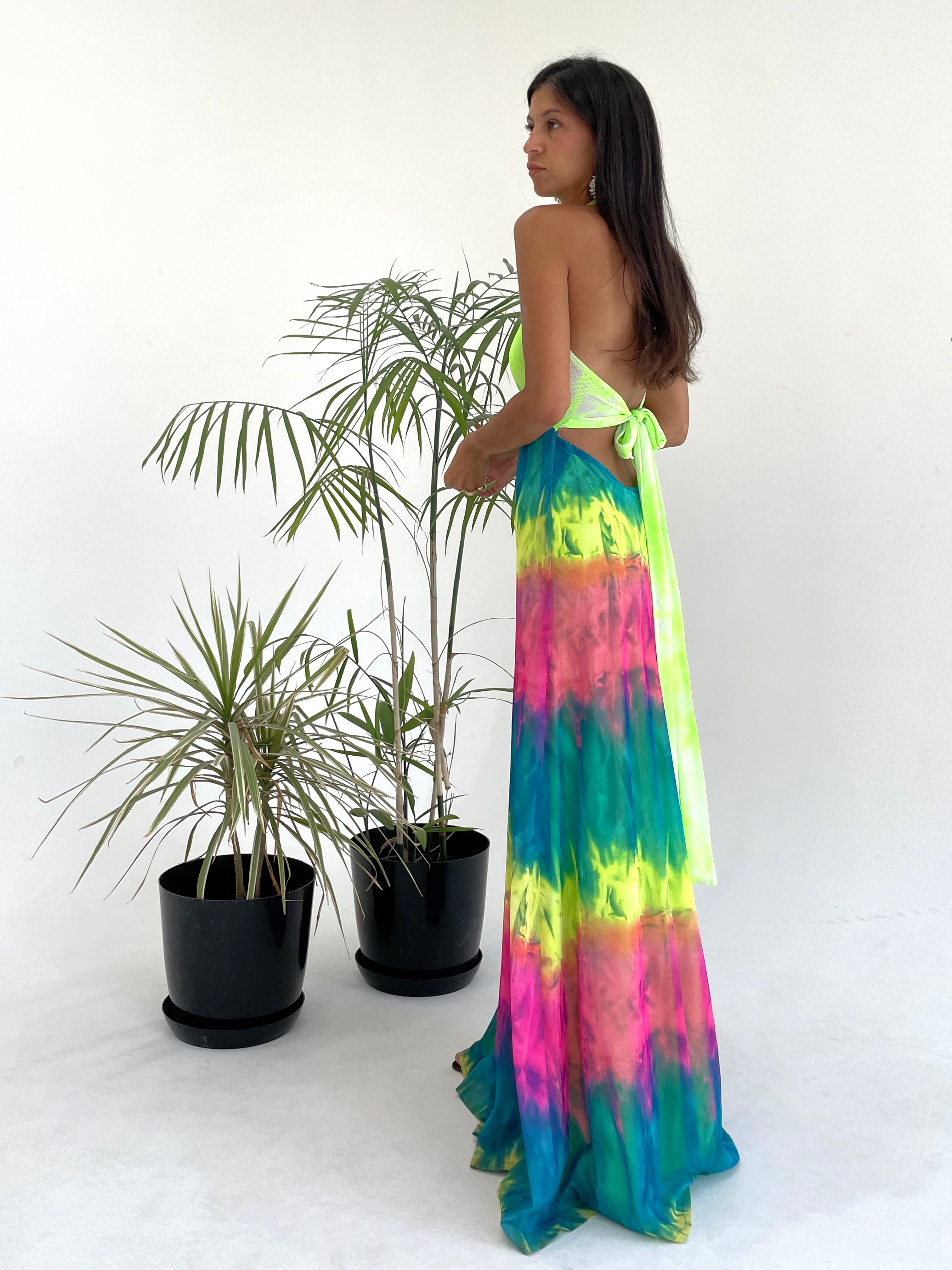 Flamboyant Dress