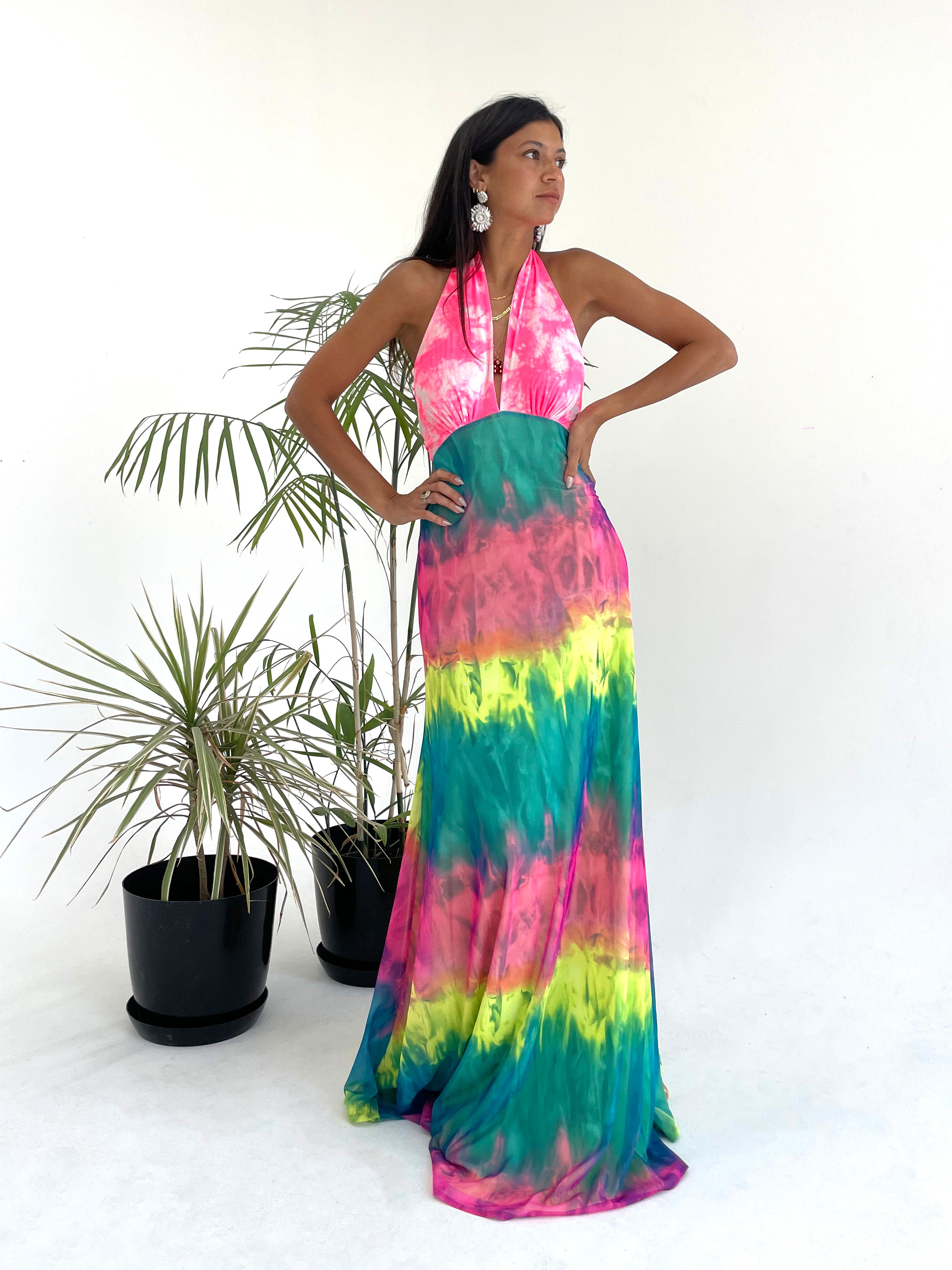 Flamboyant Dress