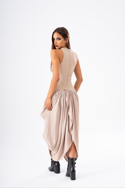 THE SWAN DRESS